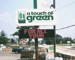 touch of Green